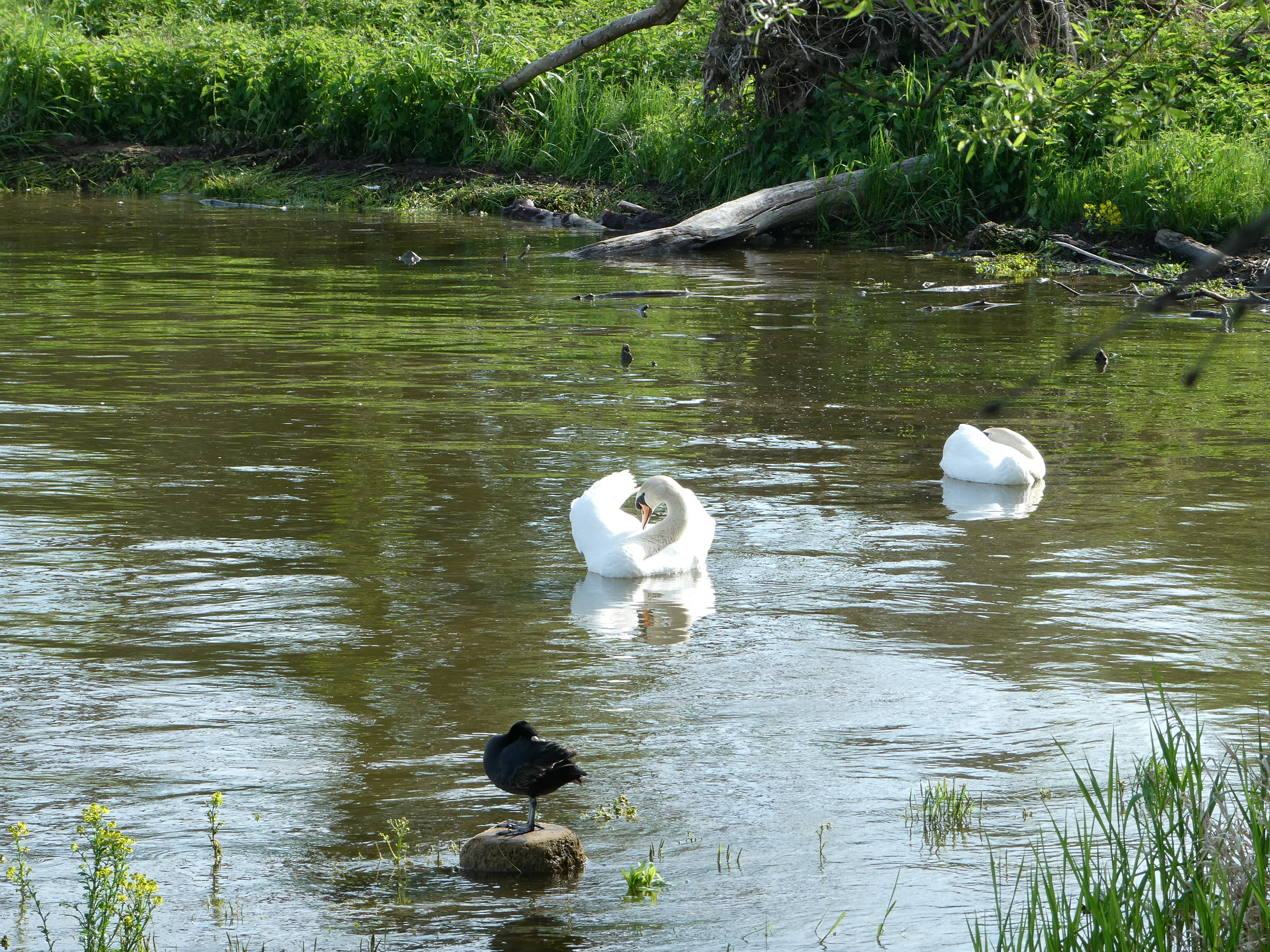 20230507091942 P1000219